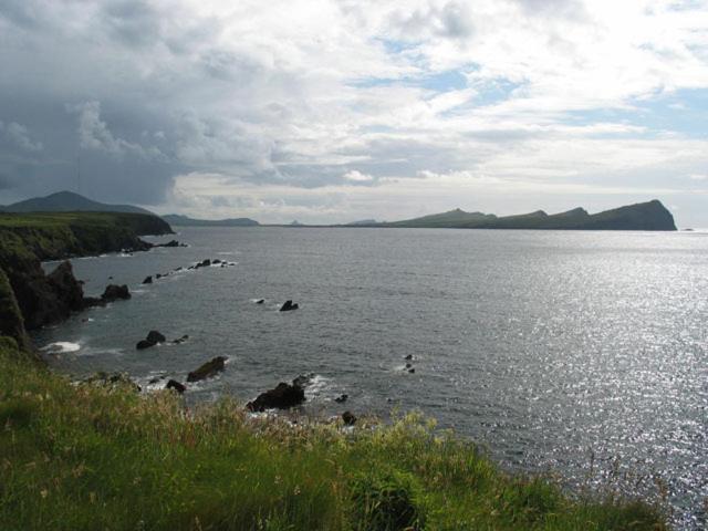 Coill An Rois B&B Ballydavid Exteriör bild